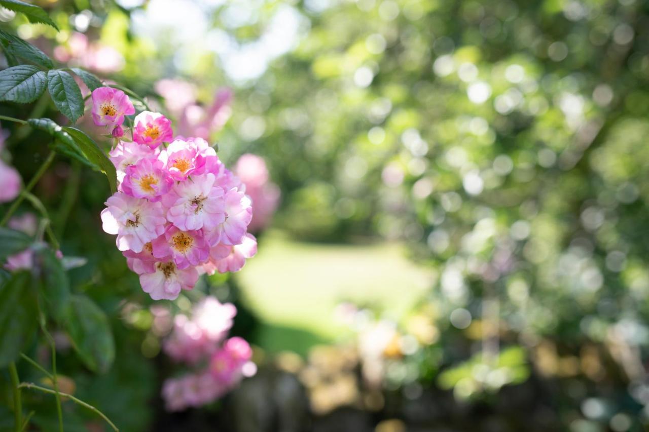 West Cottage, Southlands Farm, Gunnerton ヘクサム エクステリア 写真