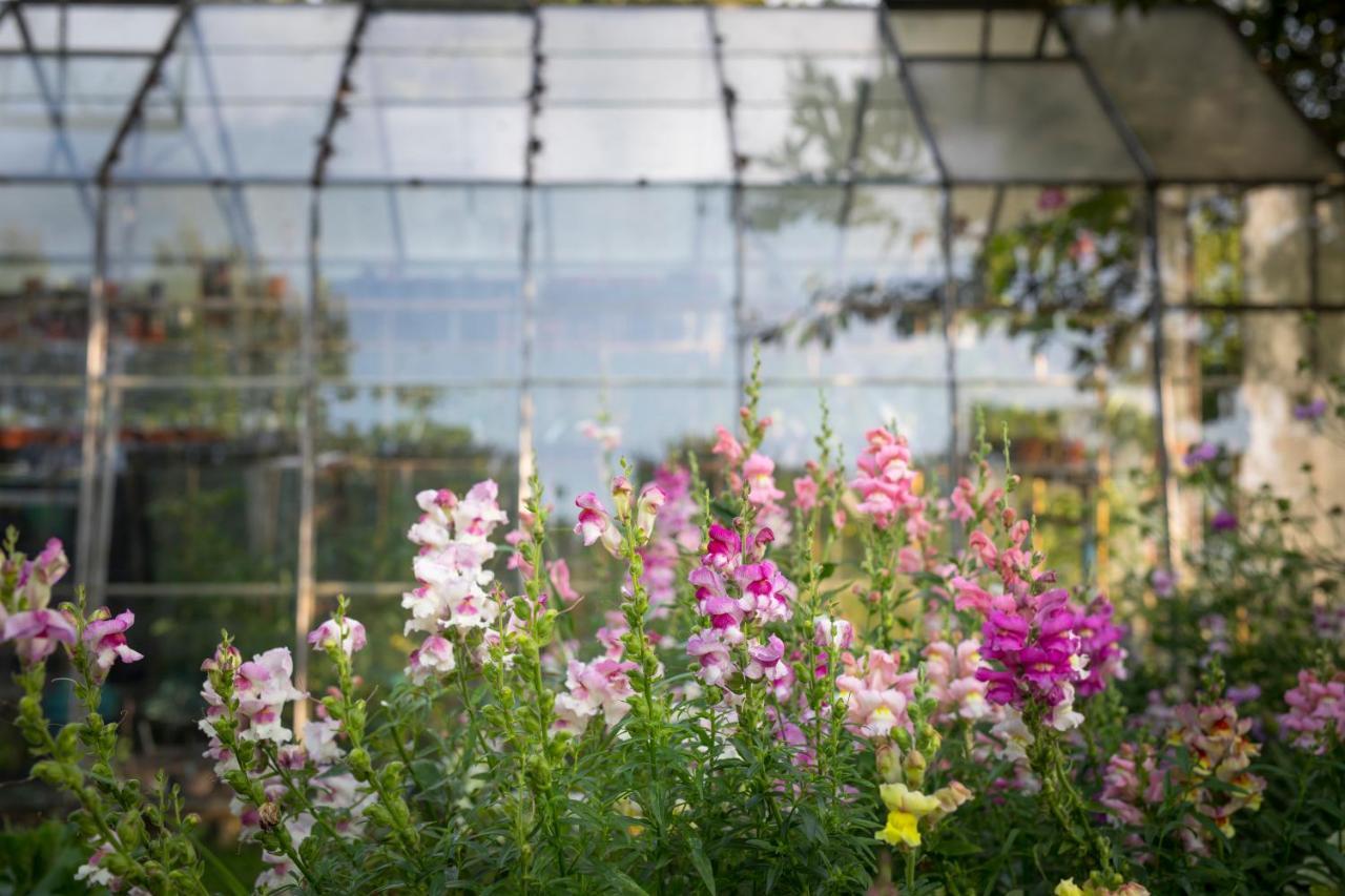 West Cottage, Southlands Farm, Gunnerton ヘクサム エクステリア 写真