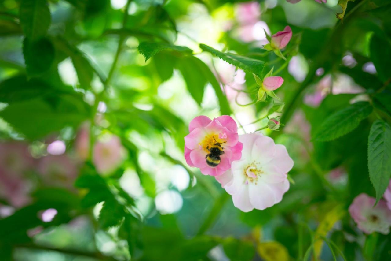 West Cottage, Southlands Farm, Gunnerton ヘクサム エクステリア 写真