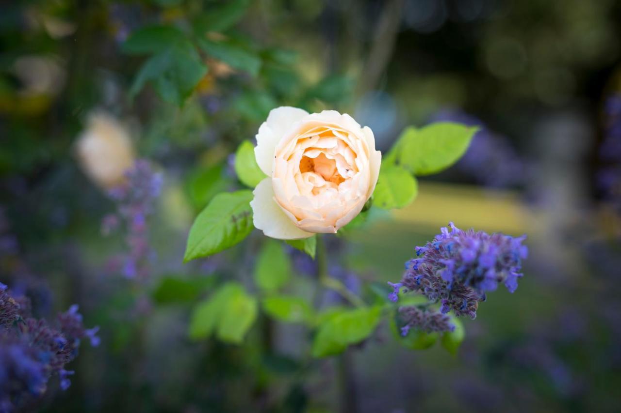 West Cottage, Southlands Farm, Gunnerton ヘクサム エクステリア 写真