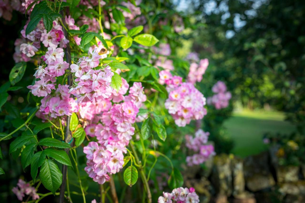 West Cottage, Southlands Farm, Gunnerton ヘクサム エクステリア 写真