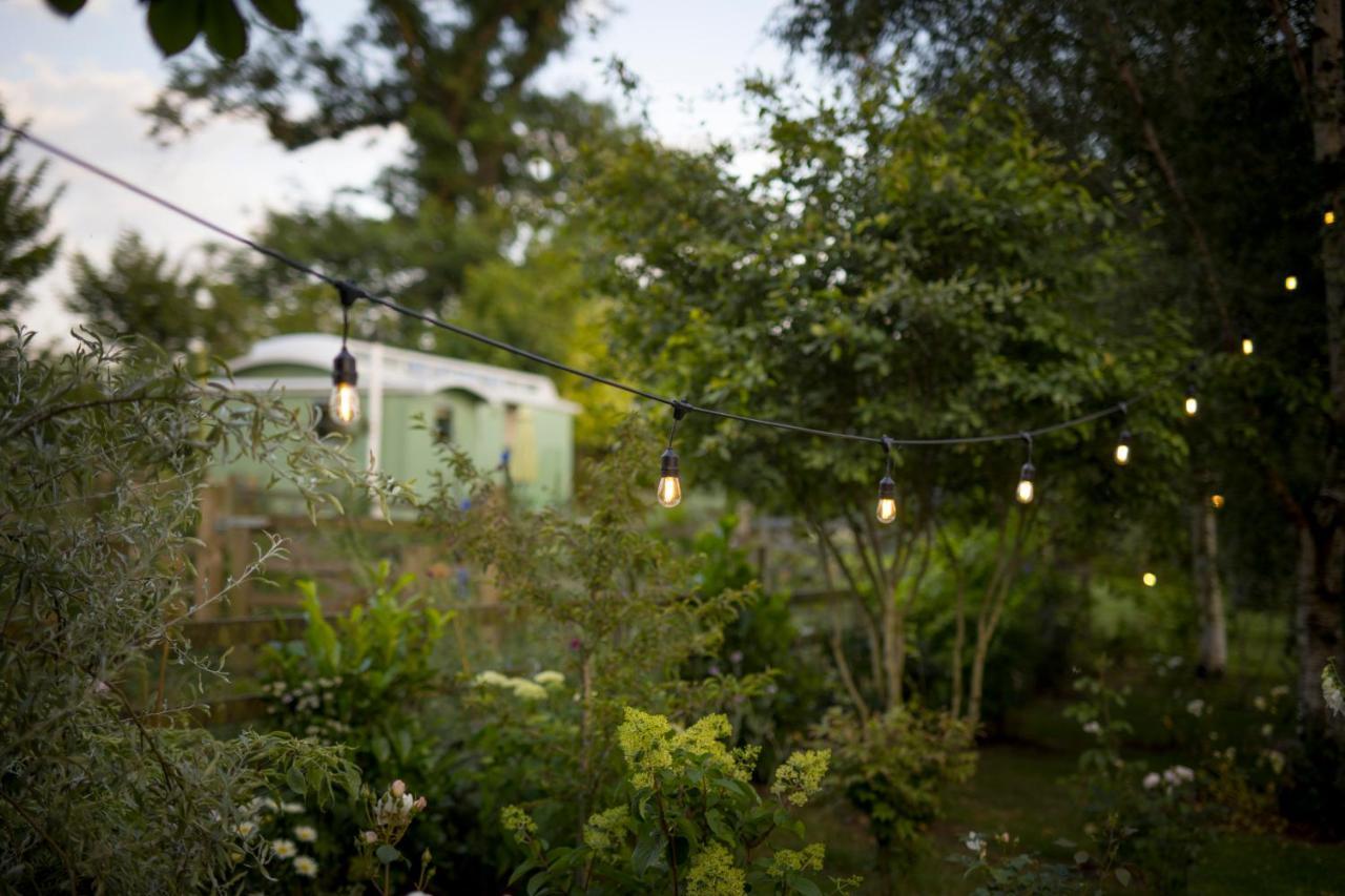 West Cottage, Southlands Farm, Gunnerton ヘクサム エクステリア 写真